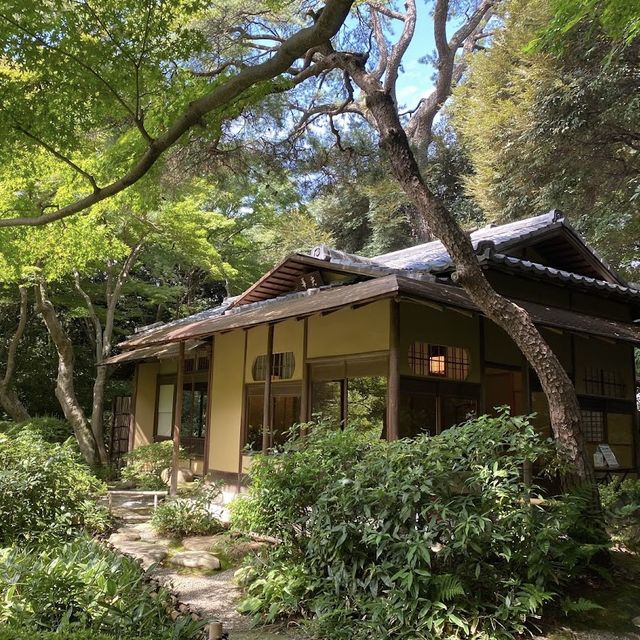藝術與自然的奇妙結合！東京都庭園美術館🖼️🌿