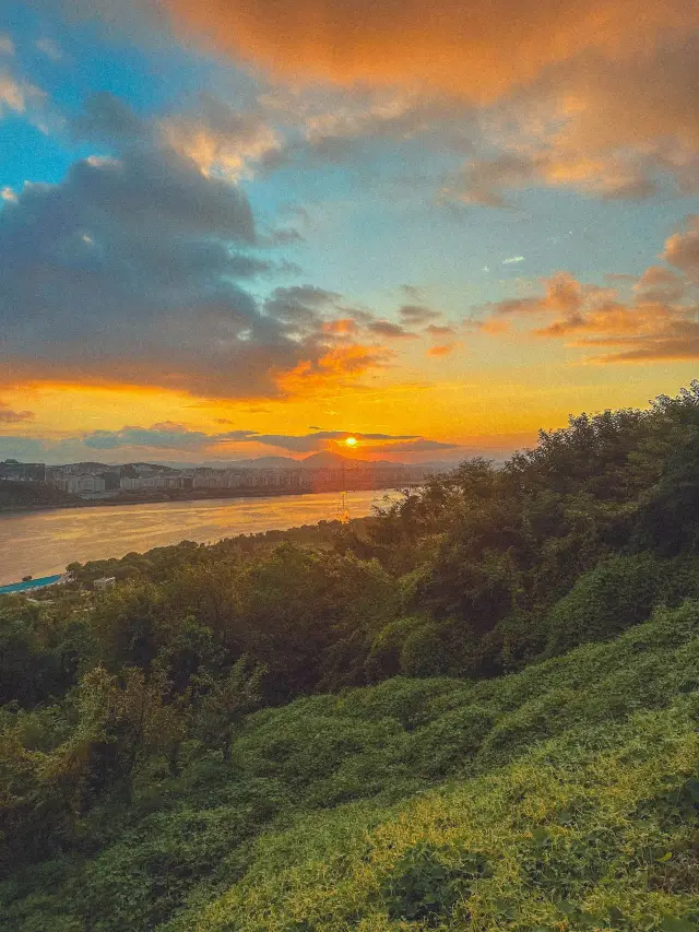 한강+노을+억새=❤️ 여기는 바로“하늘공원”