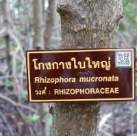 อ่าวคุ้งกระเบน จันทบุรี 