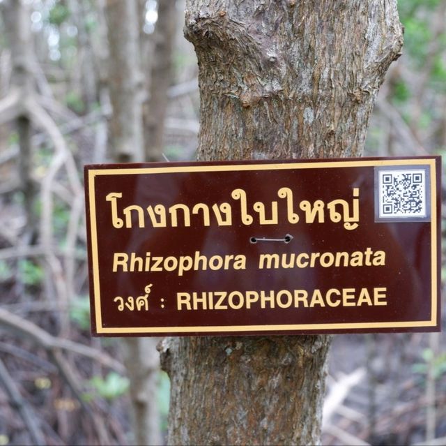 อ่าวคุ้งกระเบน จันทบุรี 