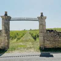 Bordeaux: Where Wine Meets Timelessness