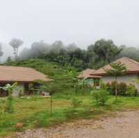 The Liveliwoods บ้านป่าร่าเริง