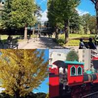 Review The Making of Harry Potter ✨Tokyo,Toshimaen
