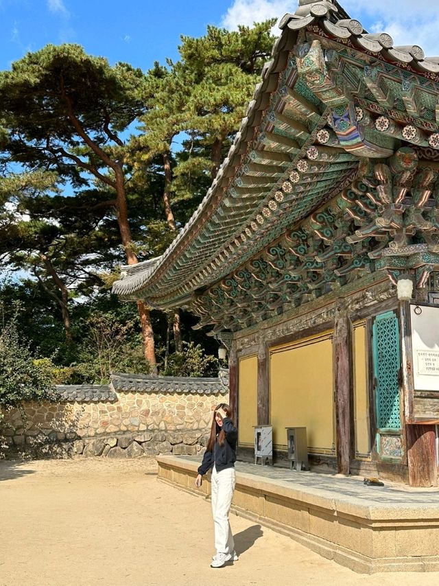 아름다운 도시 경주의 불국사를 소개합니다!