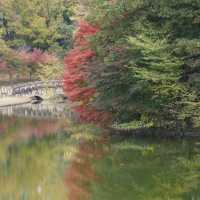 花の美しい芝生の綺麗な公園