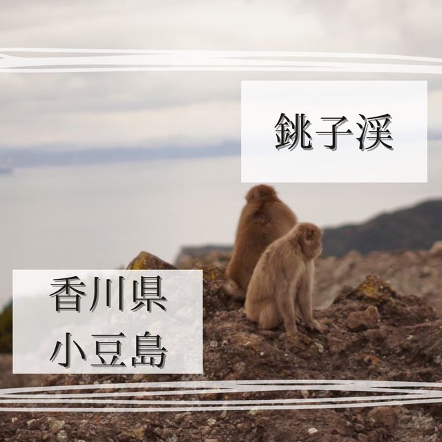 【銚子渓】野生の猿と触れ合える小豆島の観光地