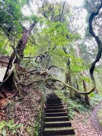 【島根県/玉作湯神社】2023年行ってよかった！島根県の神社①