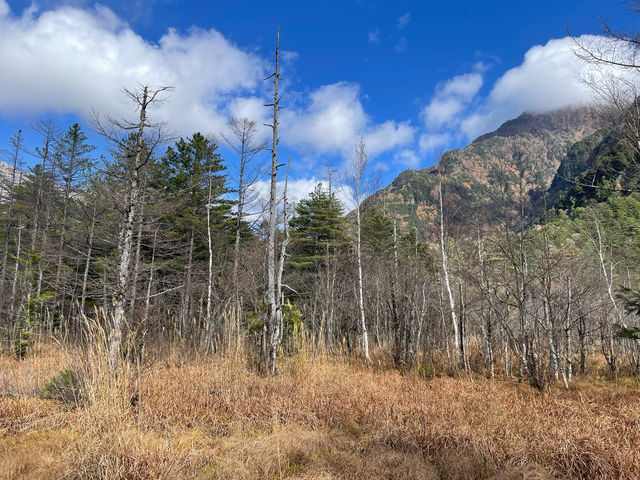 日本上高地🌲🍂