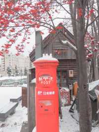 【北海道】知らなきゃ損！絶対外せない冬の小樽