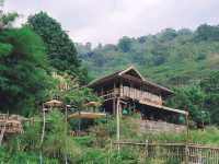 โมริ เนเชอรัล ฟาร์ม คาเฟ่และที่พักสวยสไตล์ญี่ปุ่น