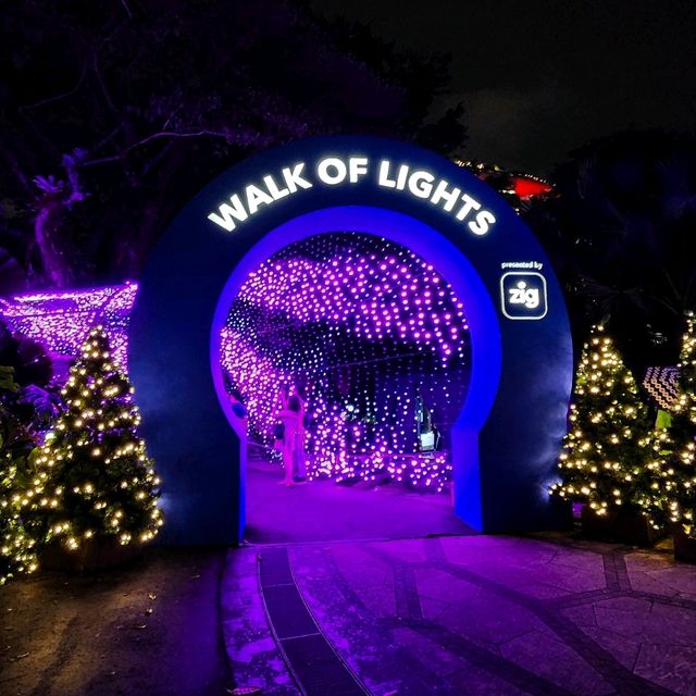 Christmas Wonderland's Amazing Lights