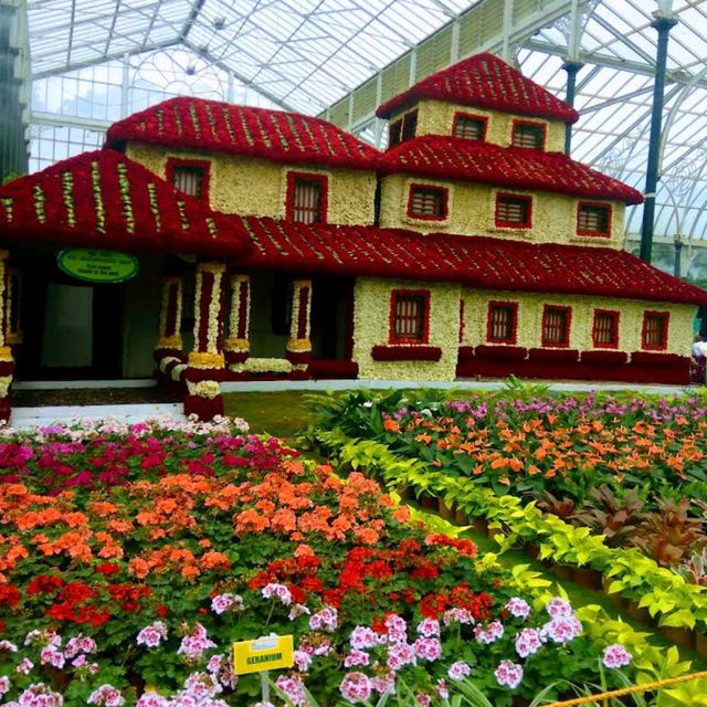 Exploring the serenity of Lalbagh Garden 