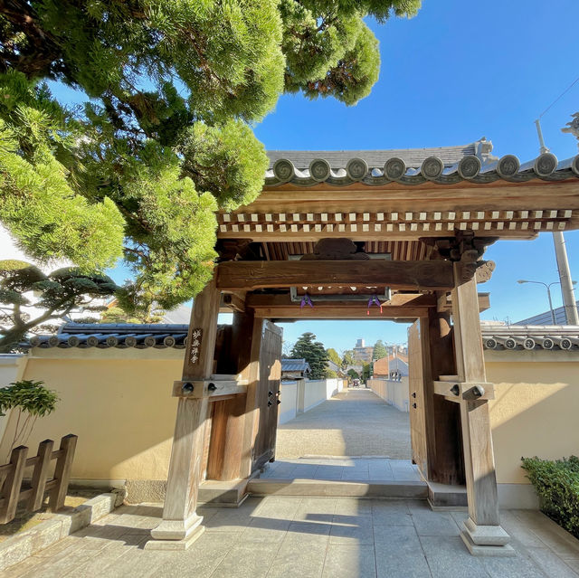 Tranquil Temples: Fukuoka's Zen Escape