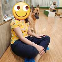 Dog Paradise in JB