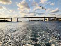 Jogashima bridge