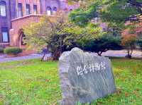 The famous Japanese National University
