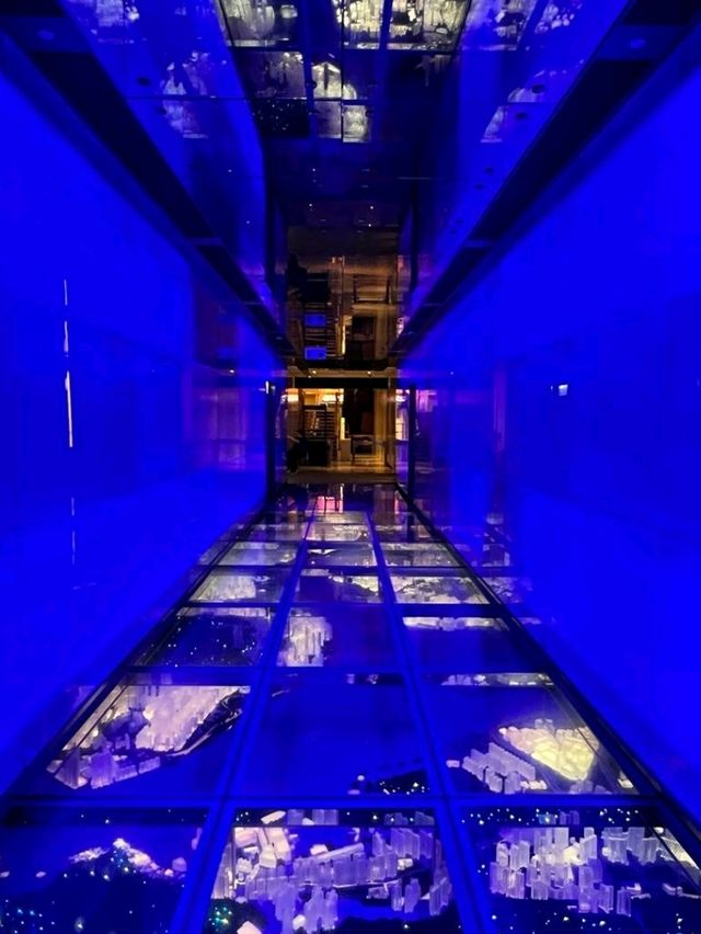 Sky100高空維港海景和風Afternoon Tea