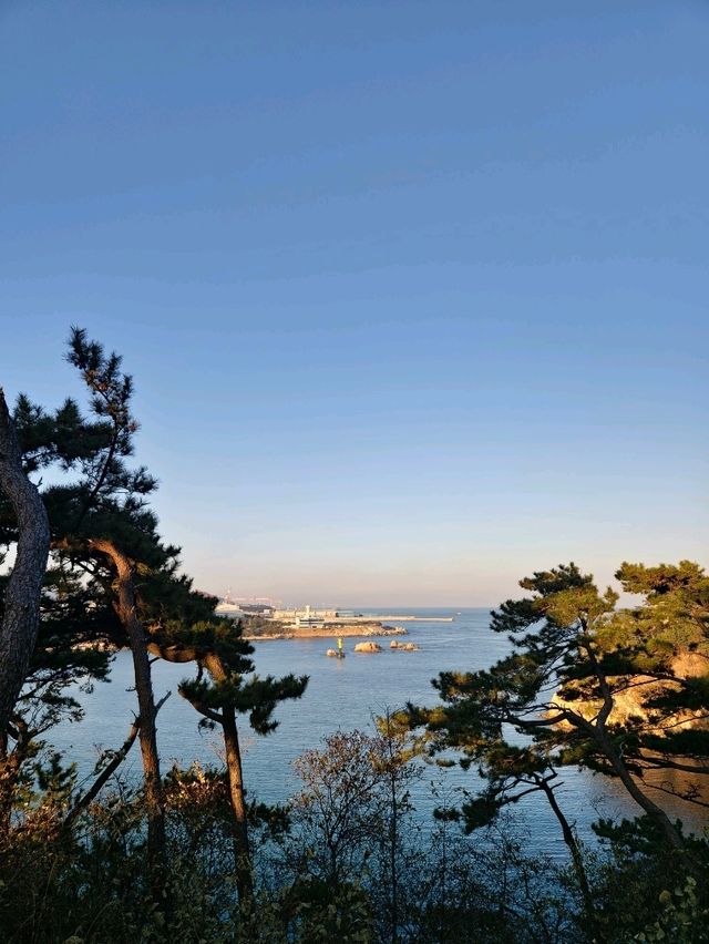 간절곶에 묻힌, 울산에 가면 꼭 가봐야 하는 명소