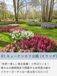 【海外旅行】春に見たい世界の絶景7選🌸