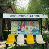 ละลานตา แคมป์ปิ้ง คาเฟ่ ที่เที่ยวนครนายก