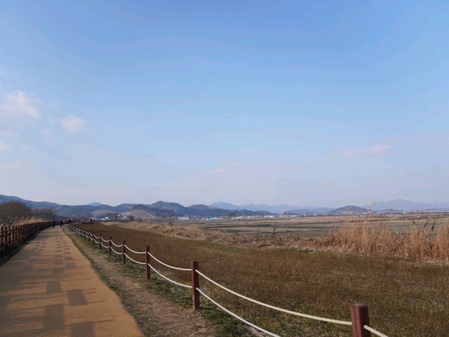 겨울에는 철새를 만나야죠, 주남저수지!