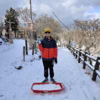 名古屋冬天限定樹冰與冰瀑，可滑雪玩雪撬