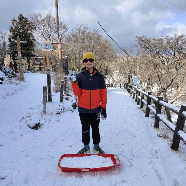 名古屋冬天限定樹冰與冰瀑，可滑雪玩雪撬
