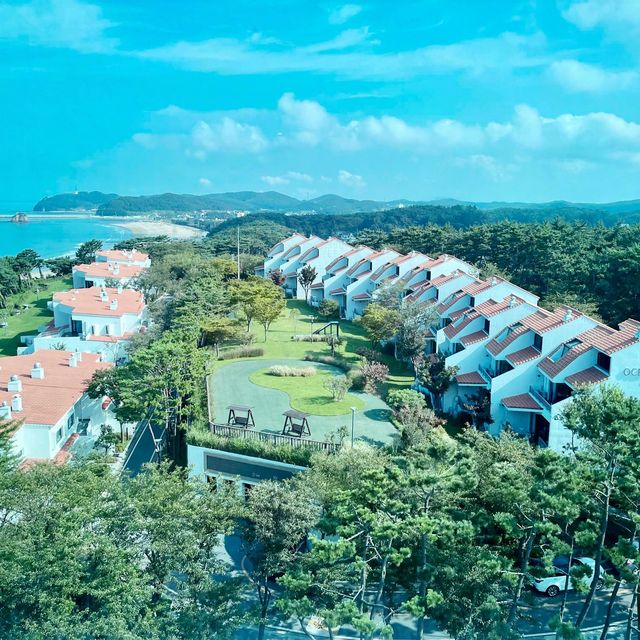 🏖️ 안면도 : 🌅 노을 맛집!! 아일랜드 리솜💙😍
