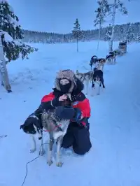 รีวิวกิจกรรมหมาลากเลื่อน#DogSleddingInKiruna