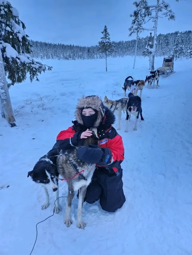 รีวิวกิจกรรมหมาลากเลื่อน#DogSleddingInKiruna