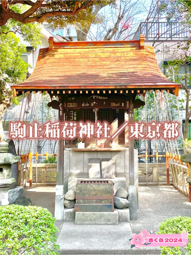 【駒止稲荷神社/東京都】庭園内にある、ひとりの旗本の功績により建てられた神社