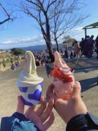 【春を先取り🌼マザー牧場の菜の花畑】