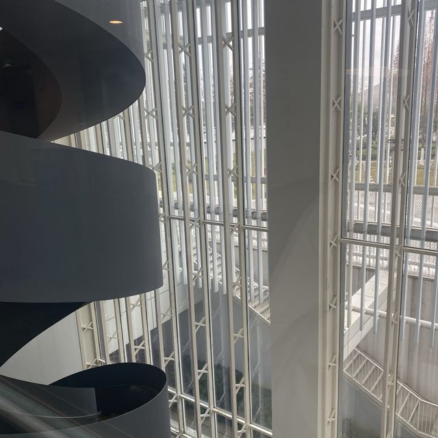 合肥｜🎨安徽省美術館🖼️