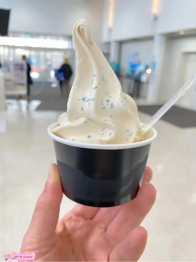 青い塩の流氷ソフトクリーム！オホーツク流氷館名物
