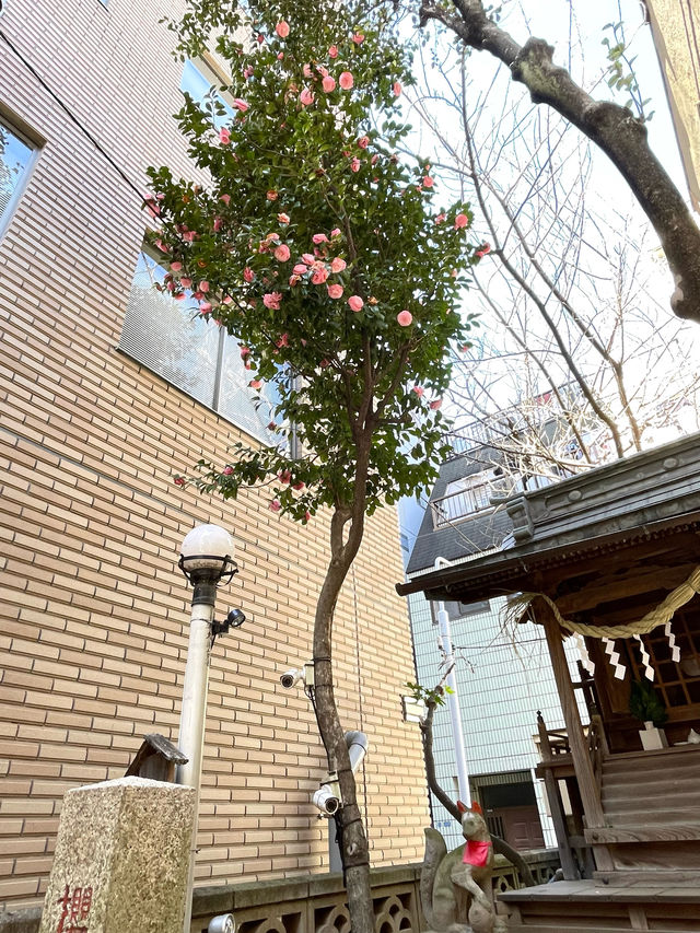 【櫻稲荷神社/東京都】伊勢津藩・藤堂家の下屋敷の屋敷神