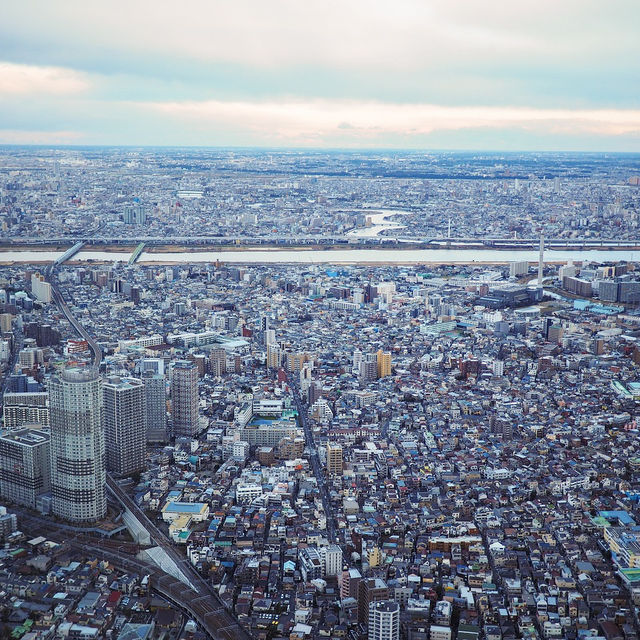 Tokyo Skytree🎏จุดชมวิว