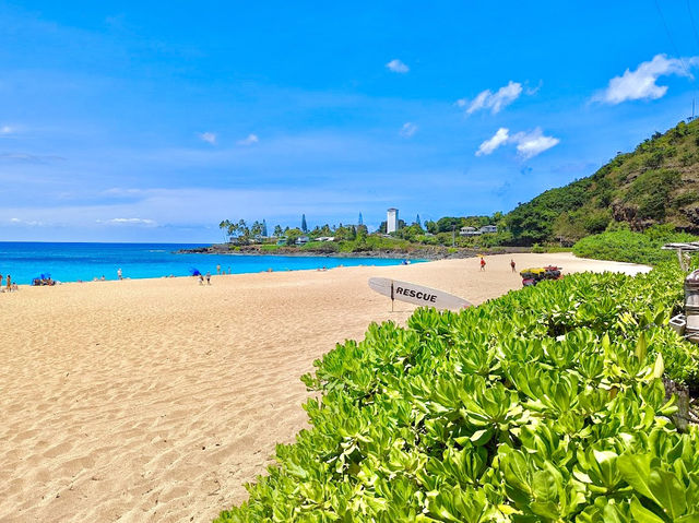 Waimea Bay Beach Park