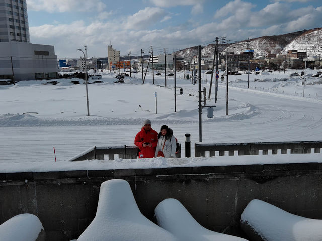 Wakkanai North Breakwater Dome หยุดชมวิวที่นี่กัน