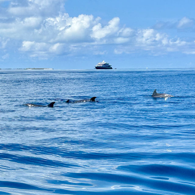 Magnificent Maafushi Maldives!