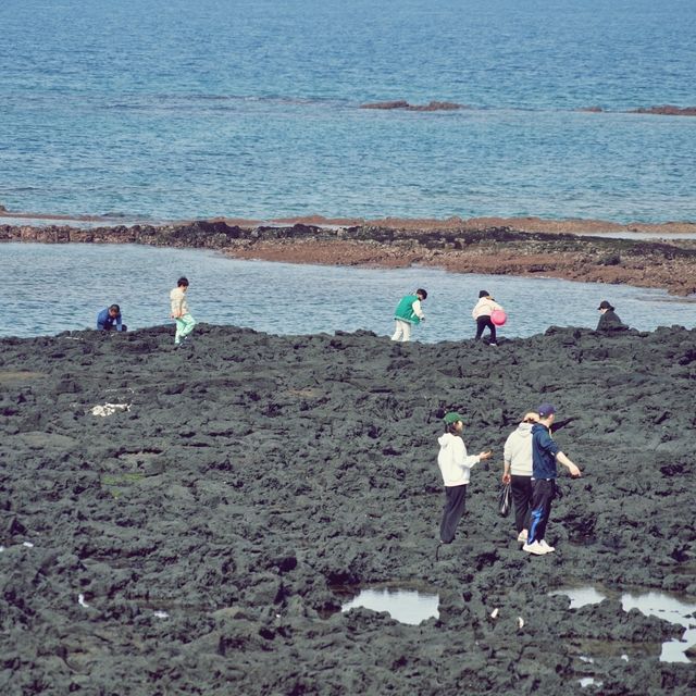 🌊 신촌포구, 제주의 과거와 현재가 공존하는 곳