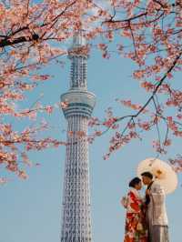 Cherry Blossom in Tokyo 🗼 