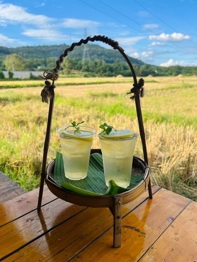 ละอ่อน Farm&Camp