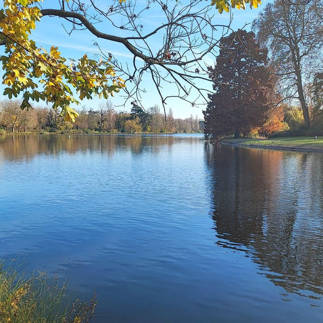 Exploring the SEA of Bois de Vincennes