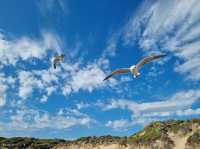 Cape Peron