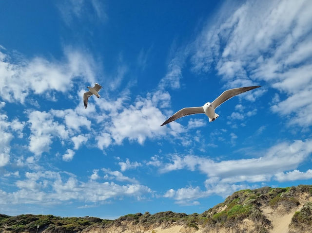 Cape Peron