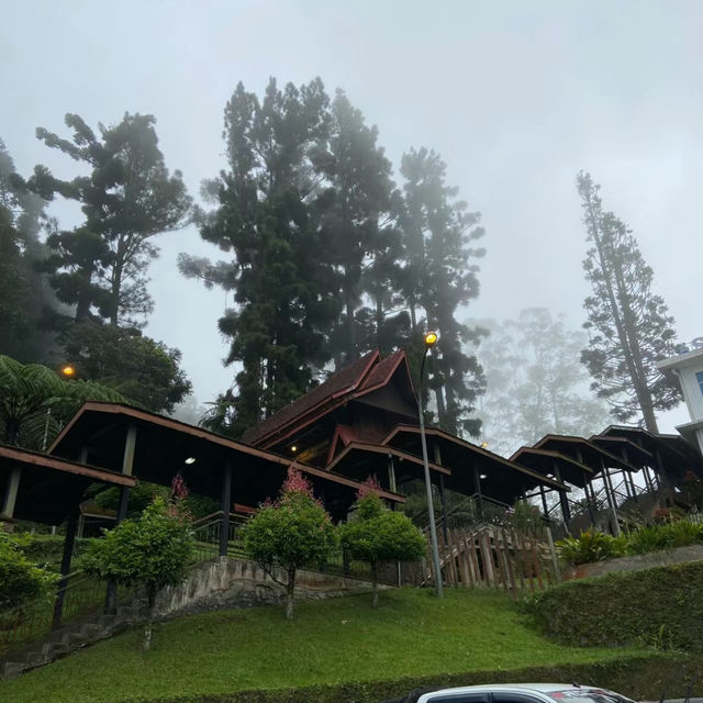 【臺北景點】陽明山國家公園：自然奇景