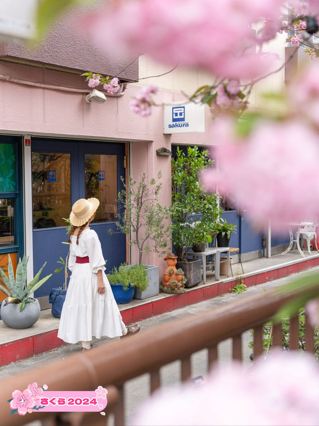 【東京都/中目黒】ソメイヨシノだけじゃない！中目黒で見つけた満開の桜