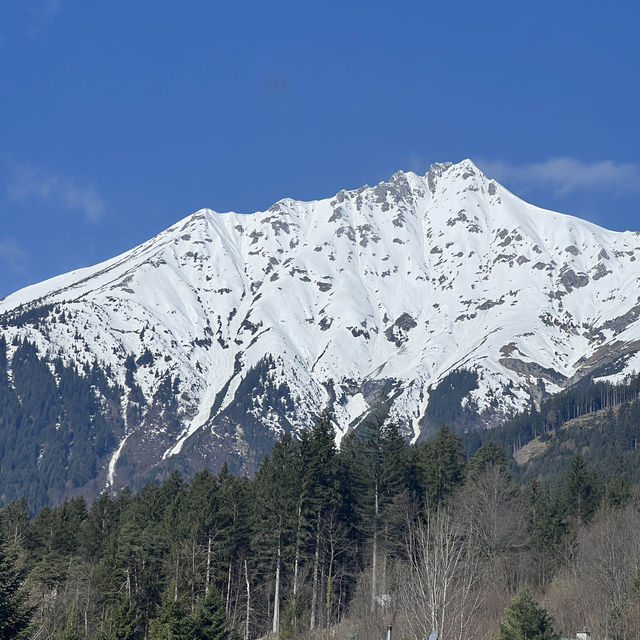 🏔️인스부르크 알프스 산맥에서 무료 눈썰매 타기