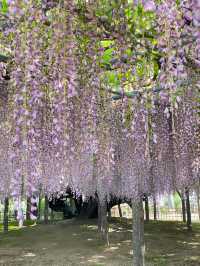 【玉敷神社/東京都】緑豊かな社叢に囲まれる