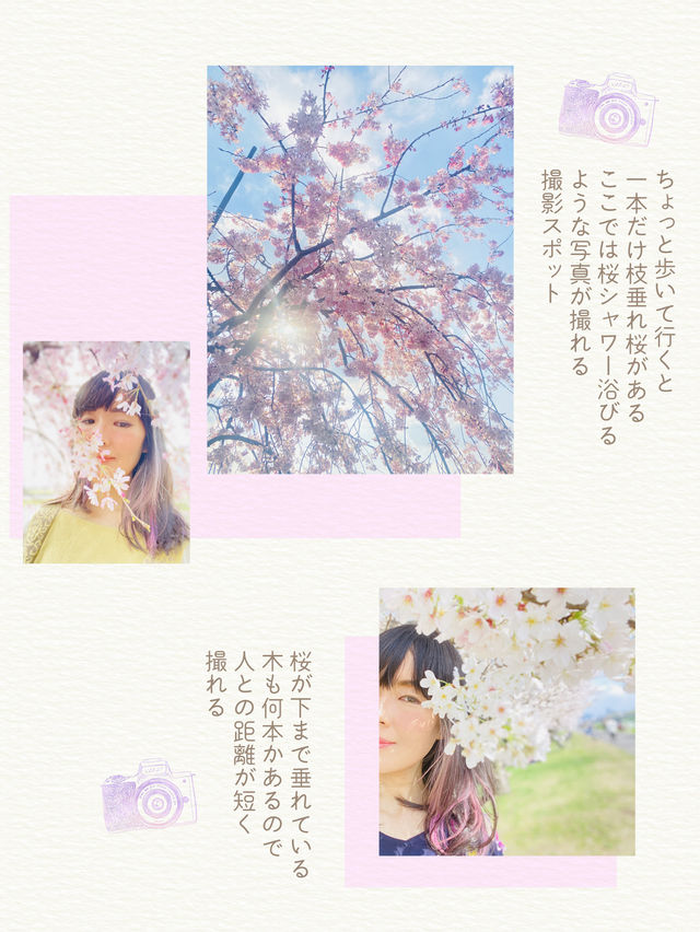 【東京】混雑回避！桜穴場おすすめスポット